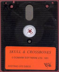 skull_crossbones_disco.jpg